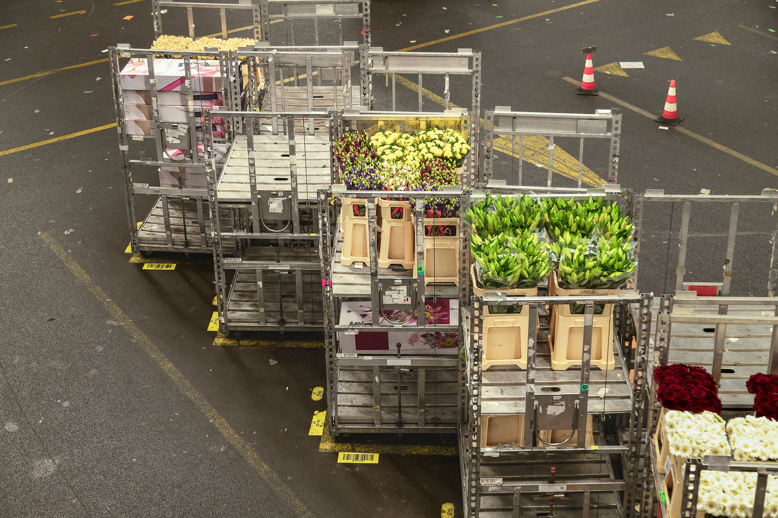 Blumen gekühlt transportieren: Tipps für die Blumenbranche