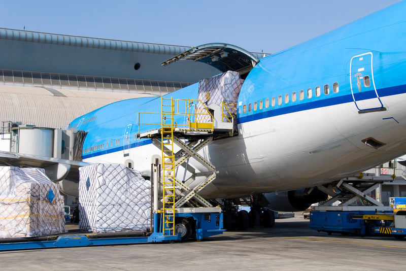 IATA CEIV Pharma: Was bedeutet das für Ihre Kühlverpackung?