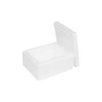 EPS-Thermobox 10 L, 400 x 300 x 200 mm