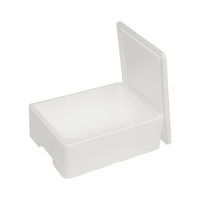 EPS-Thermobox 12 L, 400 x 300 x 155 mm