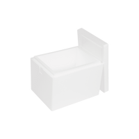 EPS-Thermobox 17,5 L, 400 x 300 x 300 mm