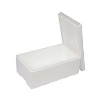 EPS-Thermobox 19 L, 500 x 300 x 210 mm