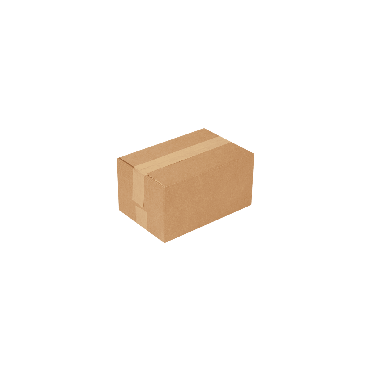 Standardbox 300 x 200 x 155 mm