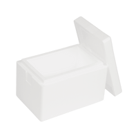 EPS-Thermobox 4,7 L, 300 x 200 x 200 mm