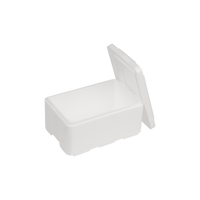 EPS-Thermobox 5 L, 300 x 200 x 155 mm