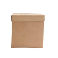 Eco Coolbox 600 x 400 x 375 mm (Palette 50 Stück)