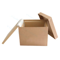 Eco Coolbox 400 x 300 x 300 mm (je 120 Stück)