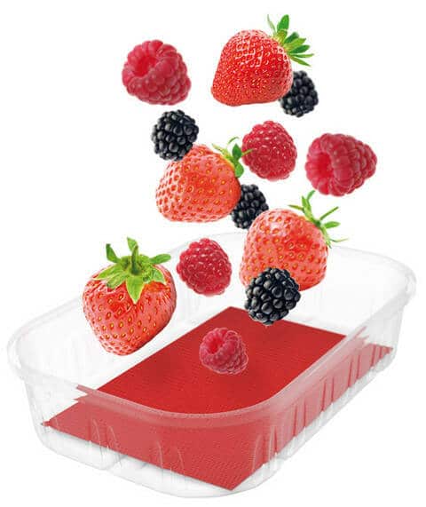 Absorptionsmatte Obst - Verschiedene Formate (10 Stück)